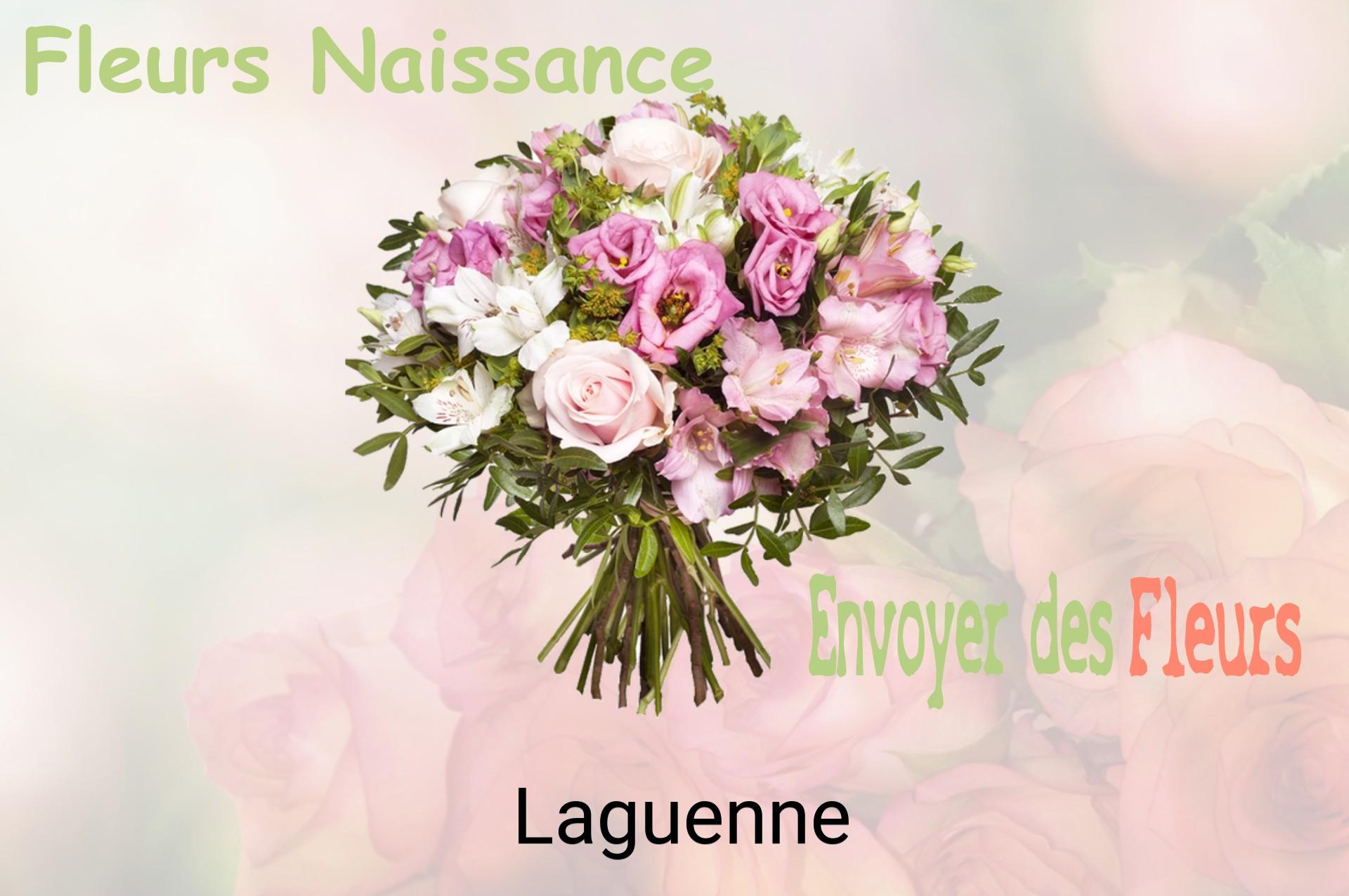 Bouquet de fleurs de naissance livré à Laguenne